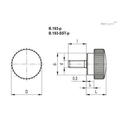 B.193/15 p-M3x10