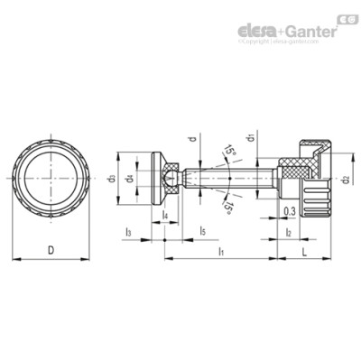 BT.25-SST-p-M6x25-SV15