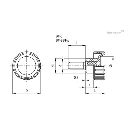 BT.12 p-M2,5x14