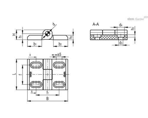CFM-SL