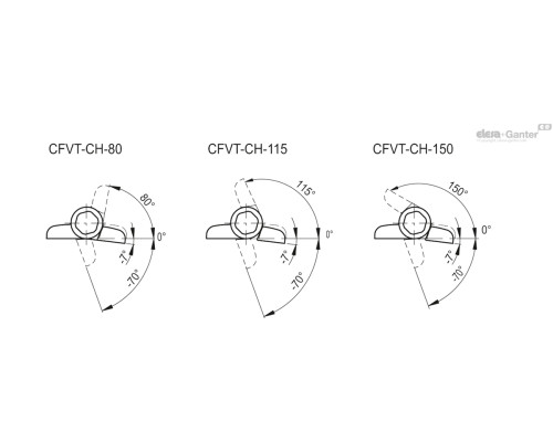 CFVT.