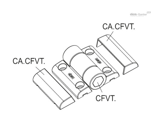 CFVT.