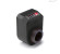 C1 - RAL 7021 