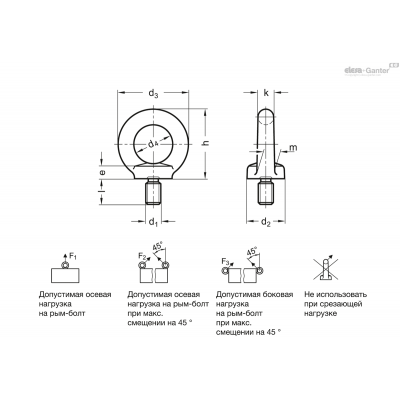 DIN 580-M10-NI