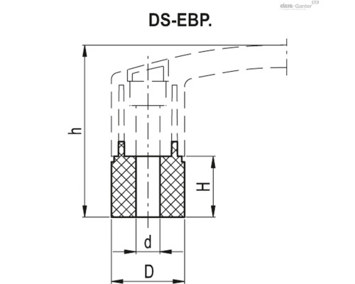 DS-EBP.