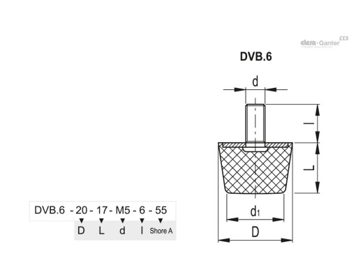 DVB.6