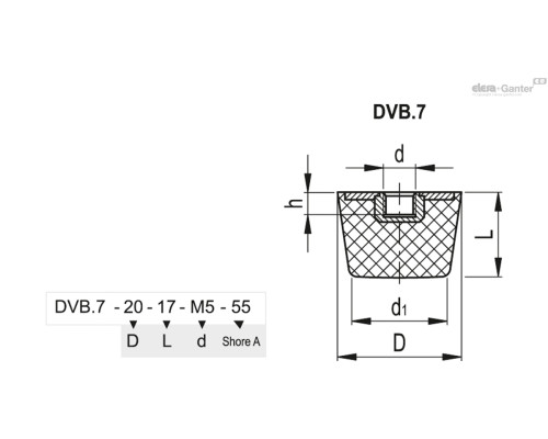 DVB.7