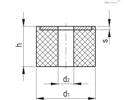 DVL.1