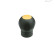C4 - RAL 1021 