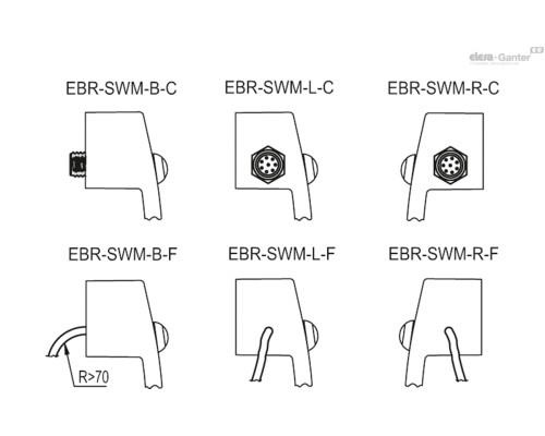 EBR-SWM