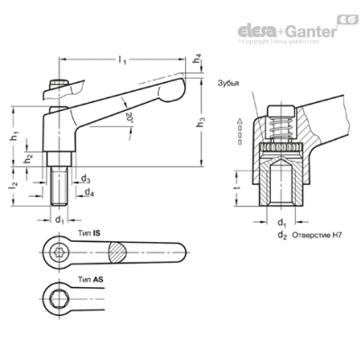 GN 300.5-30-M3-10-AS