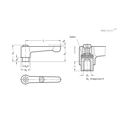 GN 302.1-22-M3-OS