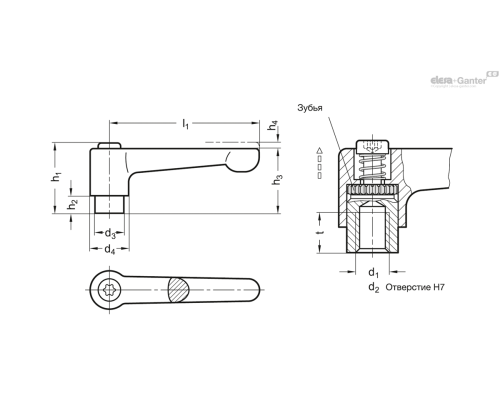 GN 302.1