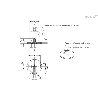 GN 784.1-42-MT