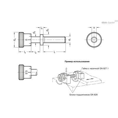 GN 827-M10X1-40-NG-S