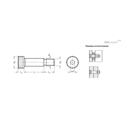 ISO 7379-10-M8-100-NI
