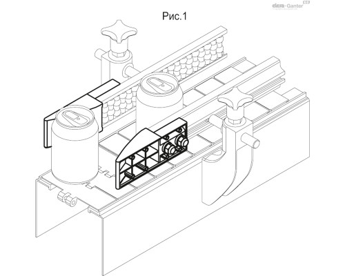 PGL-1