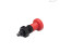 C6 - RAL 3000 