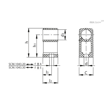 SCM.1043-20