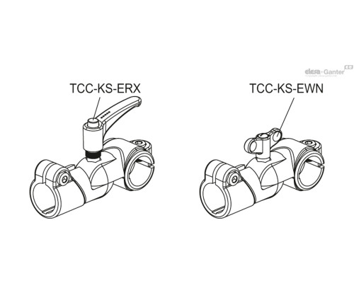 TCC-AP-TP