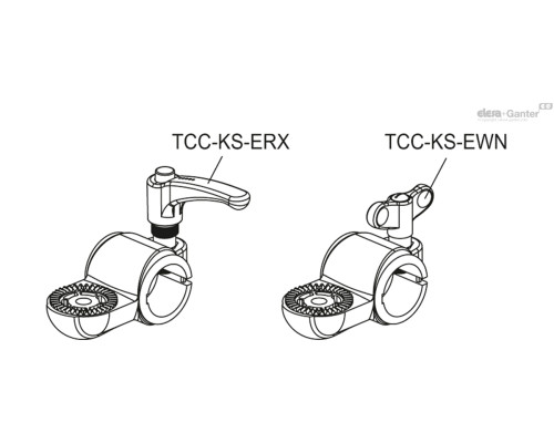 TCC-TP