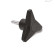 C9 - RAL 9005 