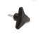 C9 - RAL 9005 