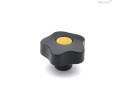 C4 - RAL 1021 
