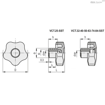 VCT.25-SST-M4-C9
