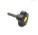 C4 - RAL 1021 