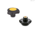 C4 - RAL 1021 