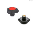 C6 - RAL 3000 