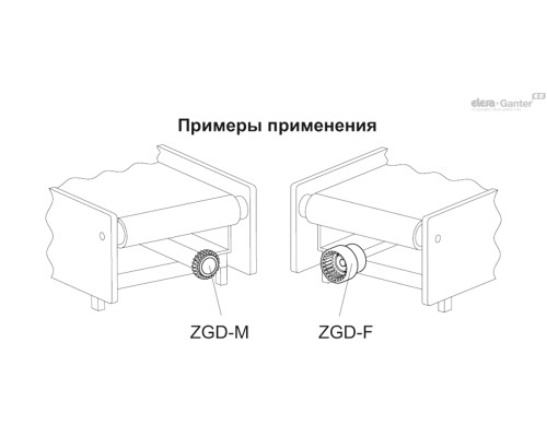 ZGD